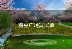 糖豆广场舞买单