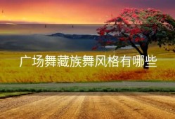 广场舞藏族舞风格有哪些