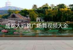 成都大妈跳广场舞视频大全