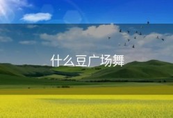 什么豆广场舞