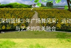 深圳篮球少年广场舞风采：运动与艺术的完美融合