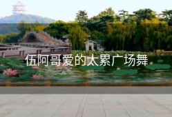 伍阿哥爱的太累广场舞