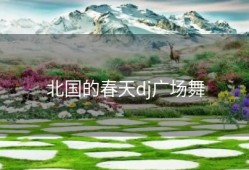 北国的春天dj广场舞
