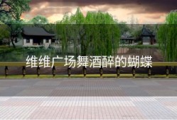 维维广场舞酒醉的蝴蝶