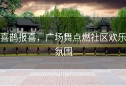 喜鹊报喜，广场舞点燃社区欢乐氛围