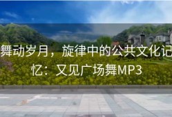 舞动岁月，旋律中的公共文化记忆：又见广场舞MP3
