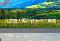 儿童双人舞视频大全广场舞