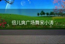 倍儿爽广场舞宋小涛