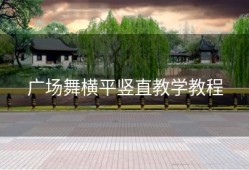 广场舞横平竖直教学教程