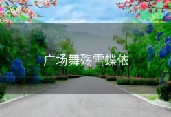 广场舞殇雪蝶依