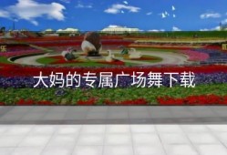 大妈的专属广场舞下载