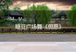 糖豆广场舞《但愿》