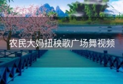 农民大妈扭秧歌广场舞视频