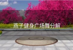 燕子健身广场舞分解