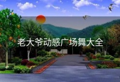 老大爷动感广场舞大全