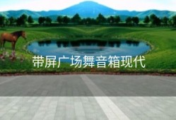 带屏广场舞音箱现代
