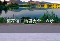 梅花泪广场舞大全十六步