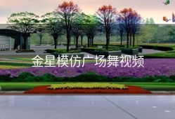 金星模仿广场舞视频