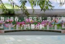 舞动青春，乐享生活：南方国际广场舞分解