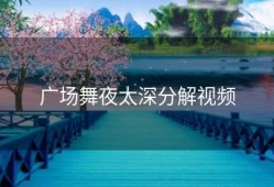 广场舞夜太深分解视频