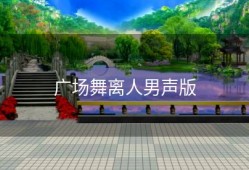 广场舞离人男声版