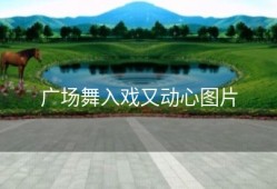 广场舞入戏又动心图片