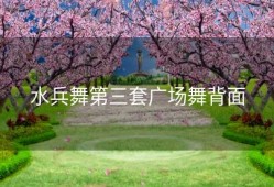 水兵舞第三套广场舞背面