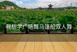 我想学广场舞乌篷船双人舞