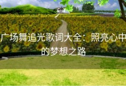 广场舞追光歌词大全：照亮心中的梦想之路