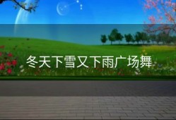 冬天下雪又下雨广场舞
