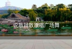 说散就散原唱广场舞