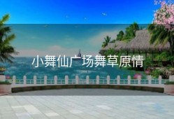 小舞仙广场舞草原情