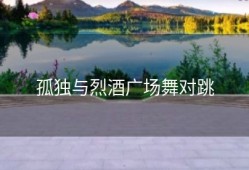 孤独与烈酒广场舞对跳