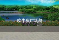 吹牛皮广场舞