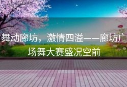 舞动廊坊，激情四溢——廊坊广场舞大赛盛况空前