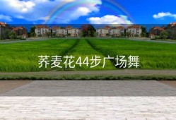 荞麦花44步广场舞