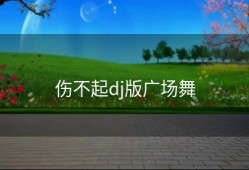 伤不起dj版广场舞