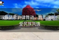 瑶族情歌韵律舞动，背面演示感受民族风情