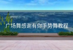 广场舞感谢有你手势舞教程