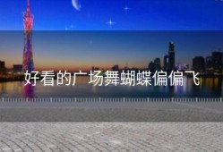 好看的广场舞蝴蝶偏偏飞