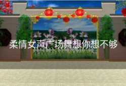 柔情女声广场舞想你想不够