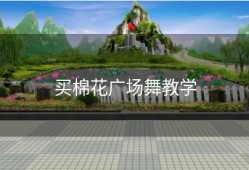 买棉花广场舞教学