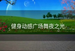 健身动感广场舞夜之光