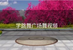 学跳舞广场舞视频