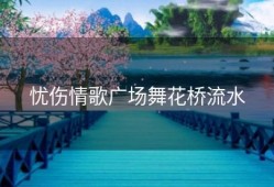 忧伤情歌广场舞花桥流水