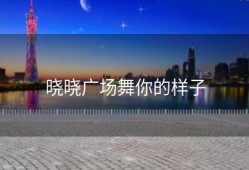 晓晓广场舞你的样子