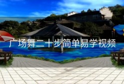 广场舞二十步简单易学视频