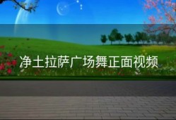 净土拉萨广场舞正面视频