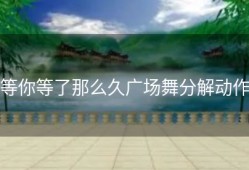 等你等了那么久广场舞分解动作