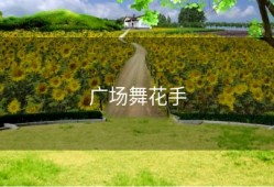 广场舞花手